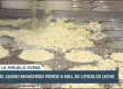 El queso manchego pierde 4 millones de litros de leche - 29/08/23