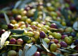 El precio del aceite de oliva: 28 meses consecutivos de subida y un 38,8% más caro que hace un año