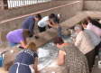 Los problemas con el agua en Sevilleja de la Jara hacen que lavar a mano sea una obligación