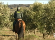 La Guardia Civil patrulla a caballo los olivares de Albacete
