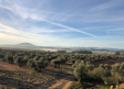 Fin de semana de tiempo anticiclónico y altas temperaturas en Castilla-La Mancha