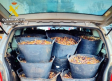 Recuperan siete toneladas de aceituna robada en varias localidades de Ciudad Real