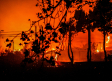 Ascienden a 64 los fallecidos en los múltiples incendios que devastan el centro de Chile