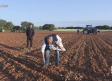 Agricultores de Munera demuestran su destreza con el tractor