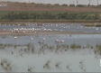 La Inesperada, una laguna que rebosa vida