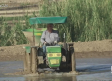 El agua y el suelo de Las Minas, óptimos para cultivar arroz