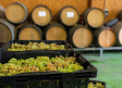 Los accidentes laborales en bodegas son recurrentes y evitables, denuncian los sindicatos