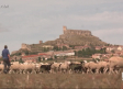 El lobo no da tregua en Robledo de Corpes