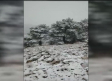 Llega la nieve a Castilla-La Mancha, caen los primeros copos en la Sierra de Albacete