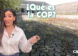 La COP y sus principales retos