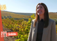 Con Carmen conocemos la Ciudad de Montilla y sus viñas