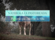 Héroes Anónimos; naturaleza pastoreada. Pastoras que cultivan (08/12/2024)