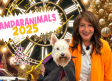 CAMPARANIMALS 2025: Amparo de Aguilar y Llanetes darán las campanadas en CMMPlay