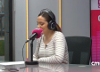 El alarmante declive de las mariposas