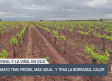 Mayo trae piedra, más agua y, tras la borrasca, calor - 02/05/25