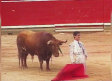 Pamplona