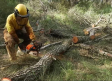 Campaña de prevención de incendios