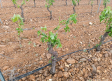 Castilla-La Mancha, en aviso por lluvias y tormentas de granizo