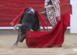 Temporada taurina 2025 en CMM
