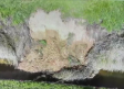 Preocupación de los regantes por el derrumbe de un talud del Canal del Henares