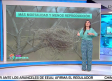 ¿Qué ocurre para que las aves migren cada vez menos?