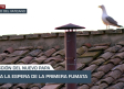 La noche en titulares - 07/05/25