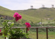 Apartamentos Consuegra con vistas a los molinos de viento