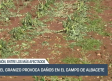 La mañana En Titulares - 12/5/2025