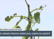 Castilla-La Mancha fin de semana a las 2 - 11/5/2025
