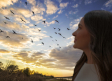 El impacto del clima en las aves migratorias