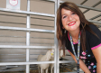 Especial Expovicaman con Amparanimals: cabras, ovejas, caballos y perros