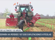 España ha perdido 187.000 hectáreas explotaciones vitivinícolas - 16/05/25