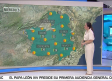 Jornada tranquila y estable para este miércoles