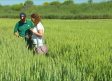 El Centro de Investigación Agraria de Marchamalo abre sus puertas a los agricultores de Guadalajara