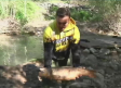 Castilla-La Mancha no descarta sancionar a la Confederación Hidrográfica del Tajo por la muerte de peces en Entrepeñas y Buendía