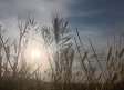 Aviso amarillo por tormentas en Toledo y calor en Albacete y Cuenca