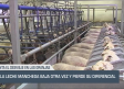 La leche manchega baja otra vez y pierde su diferencial - 03/06/25