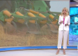 Castilla-La Mancha despierta - 05/06/2025
