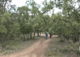 Visitamos el Bosque de Valdenazar, un oasis a pocos kilómetros de Guadalajara