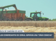 Los comerciantes de cereales esperan una "gran cosecha" - 05/06/25