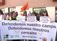 Agricultores de Guadalajara piden poner freno a las importaciones de cereal ucraniano