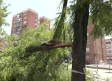 Los efectos del granizo que cayó en Guadalajara