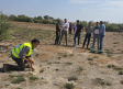 Nuevas medidas de emergencia contra la sobrepoblación de conejos en Toledo, Cuenca y Ciudad Real