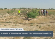 Activado un programa de captura de conejos - 13/06/25