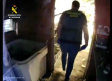 Desmantelada una plantación de marihuana en el interior de una nave en Lillo (Toledo)