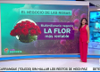 El multimillonario negocio de las rosas