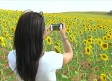 Hoy es el "Yellow Day", el día más feliz del año