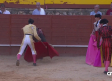 Novillada desde Trillo (22/06/2025)