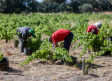 Trabajadores del campo protestan en Fercam por el bloqueo del convenio colectivo en Ciudad Real