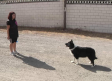 La Senda del Lobo en Ciudad Real, un lugar donde dejar a nuestras mascotas